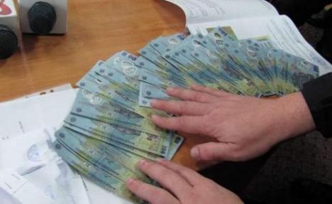 O orădeancă a fost reţinută pentru o fraudă de 1,5 milioane lei 